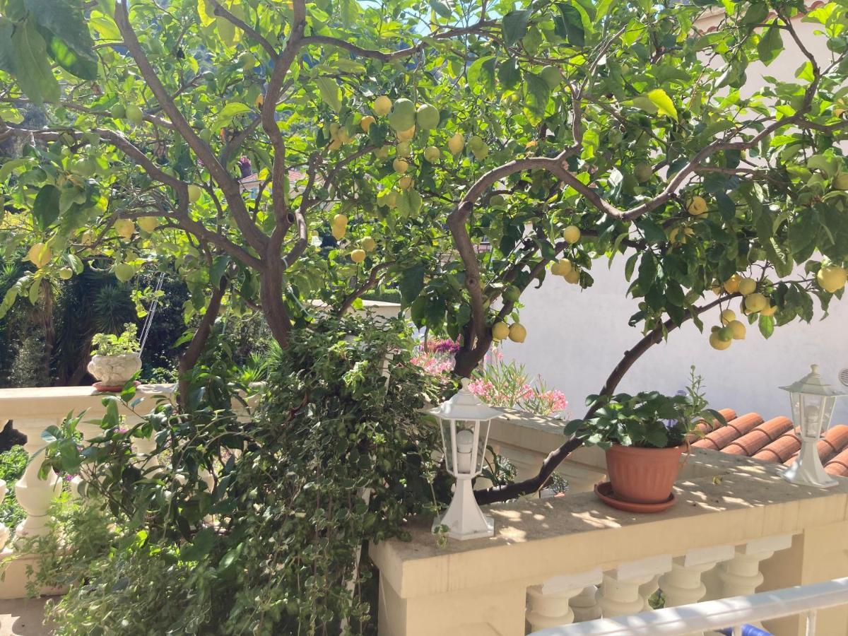 Studio Villa La Cigale Avec Grande Terrasse Menton Dış mekan fotoğraf